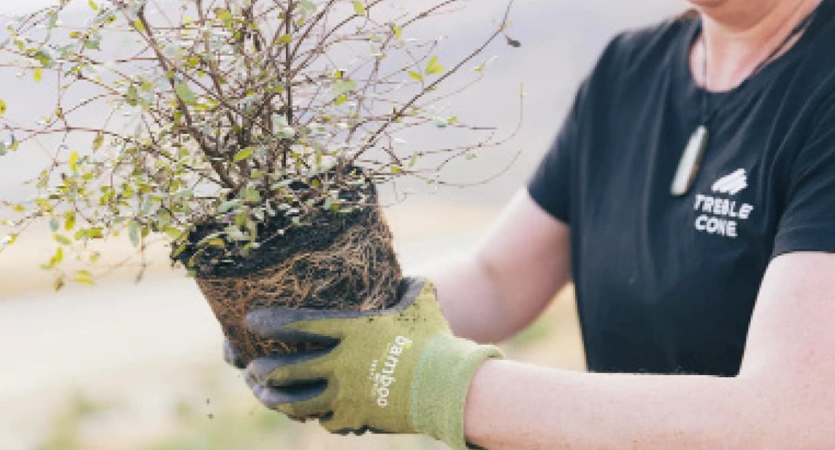 A person wearing a black shirt with the logo "Treble Cone" is holding a small plant with its roots exposed, ready for planting. They are wearing green gloves with the brand name "Bamboo" visible on the wrist. The focus of the image is on the plant and the hands, suggesting an activity related to gardening or environmental conservation, possibly part of a sustainability or reforestation effort.