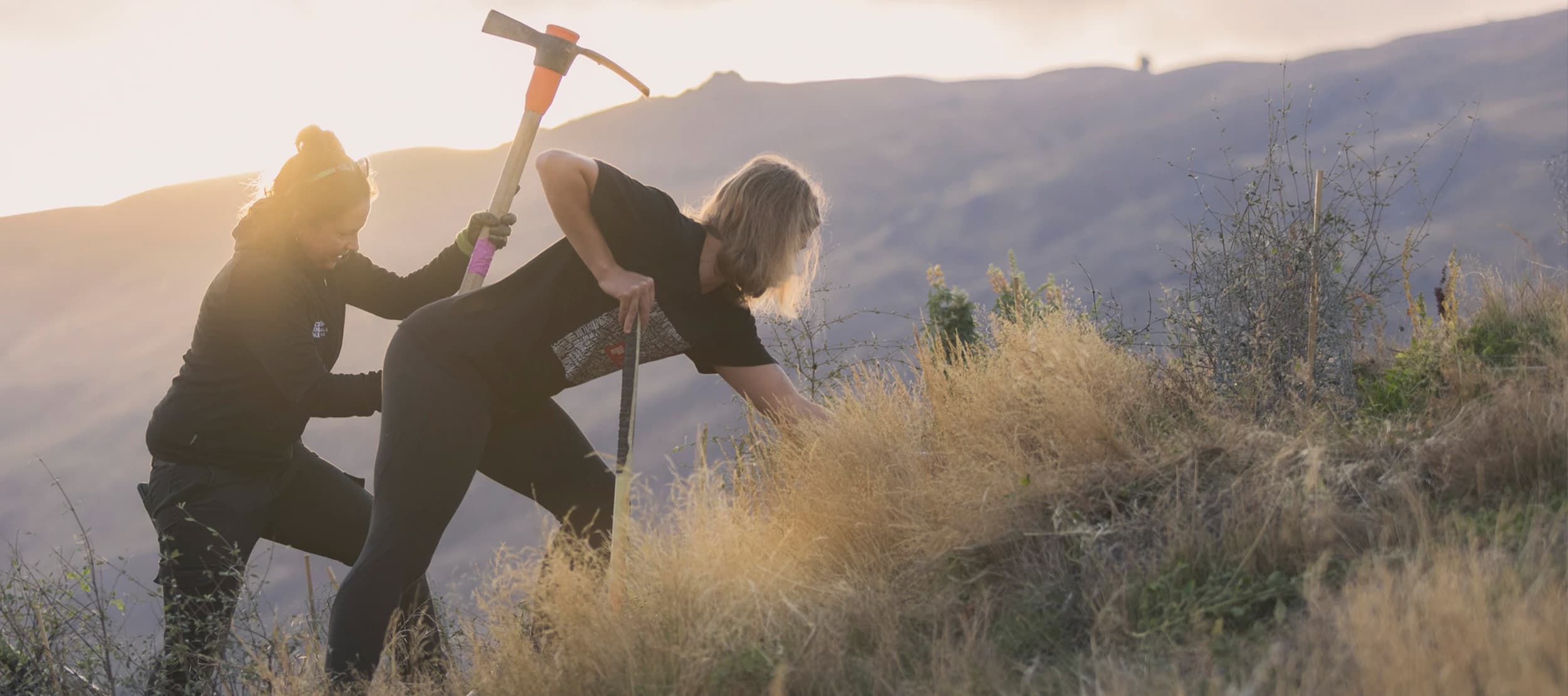 Two people work together on a hillside, one holding a pickaxe and the other using a spade to dig into the dry grass, with soft sunlight illuminating the mountainous background.