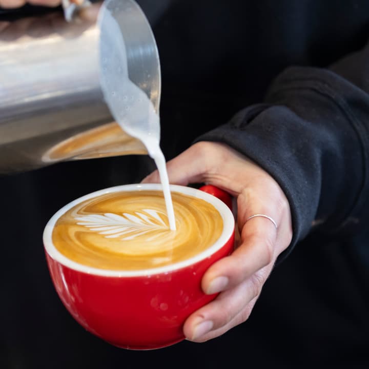 A barista pours steamed milk in a leaf latte art pattern into a red cup.