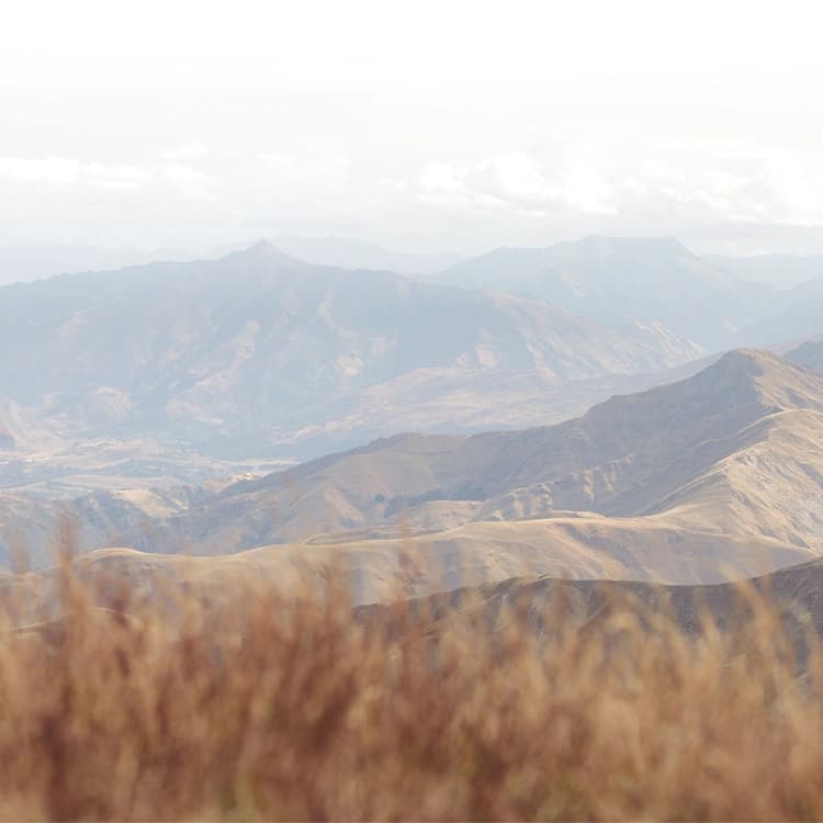 MarkClintonPhoto0324 9 750x750