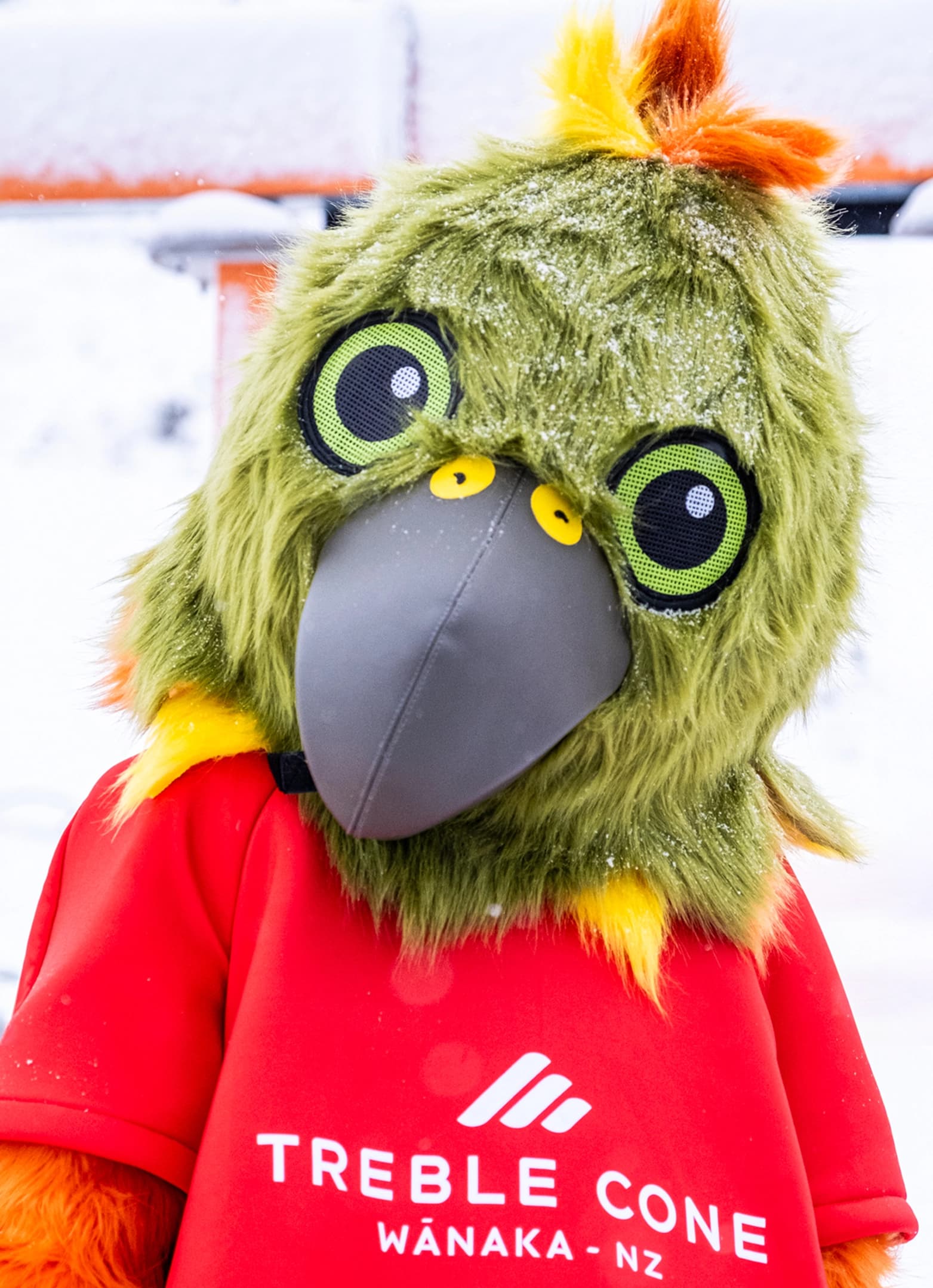 Kiri the Kea's, Treble Cone Ski Area's mascot.