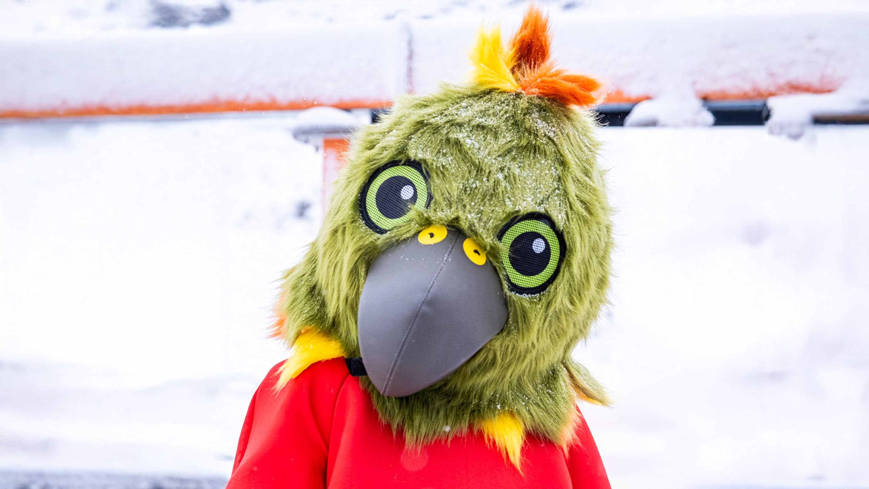 Kiri the Kea's, Treble Cone Ski Area's mascot.